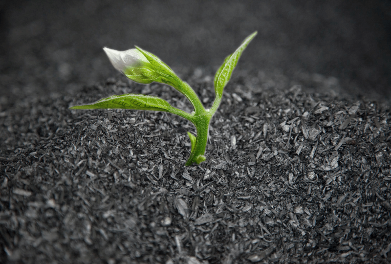 The importance of the soil to face the climate crisis