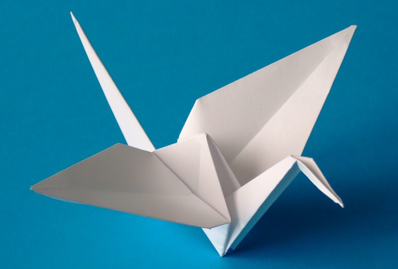 Sogni di carta: dagli Origami a un lavoro in F1